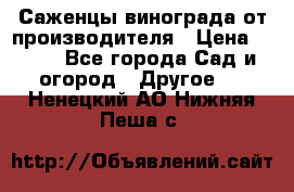 Саженцы винограда от производителя › Цена ­ 800 - Все города Сад и огород » Другое   . Ненецкий АО,Нижняя Пеша с.